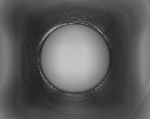X0000086001500200703230838
