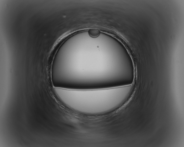 X0000086001501200703230838