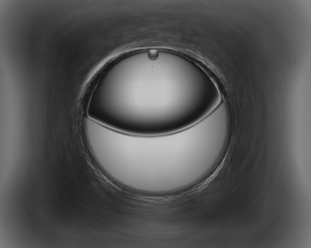 X0000086001502200703230838