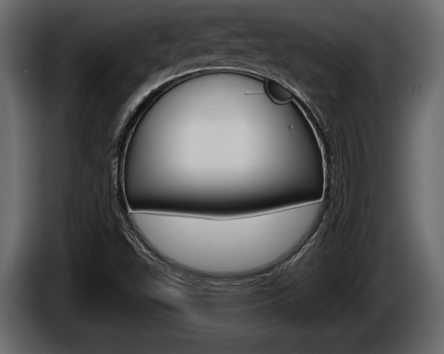 X0000086001503200703230838