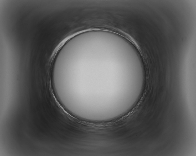 X0000086001504200703230838
