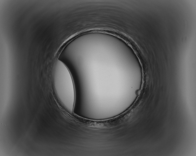 X0000086001505200703230838