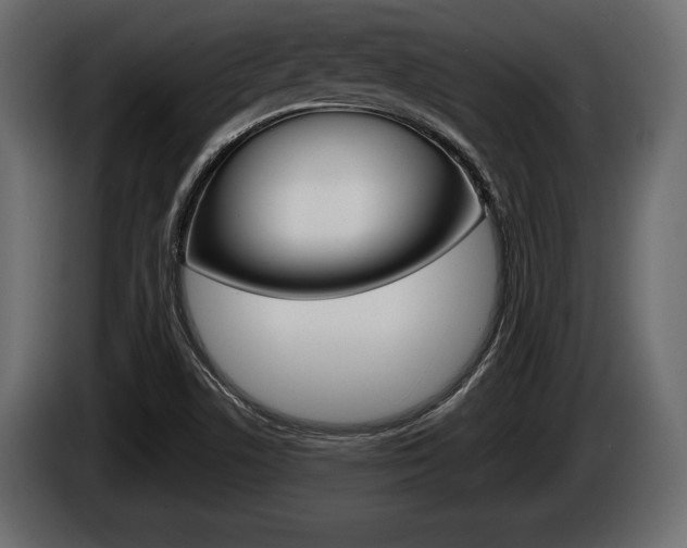 X0000086001506200703230838