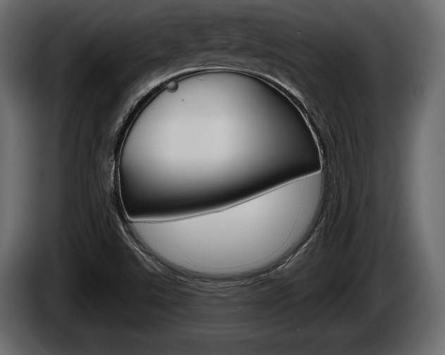 X0000086001507200703230838
