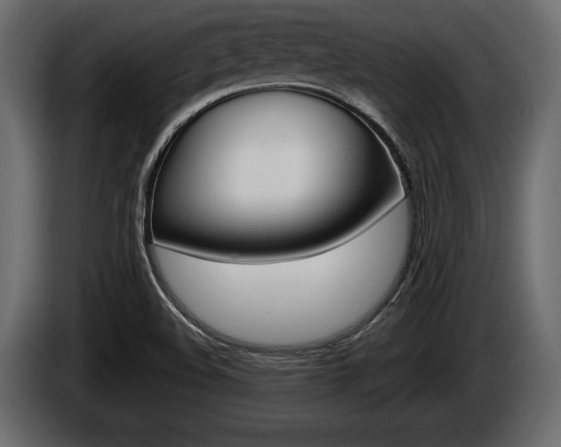 X0000086001508200703230838