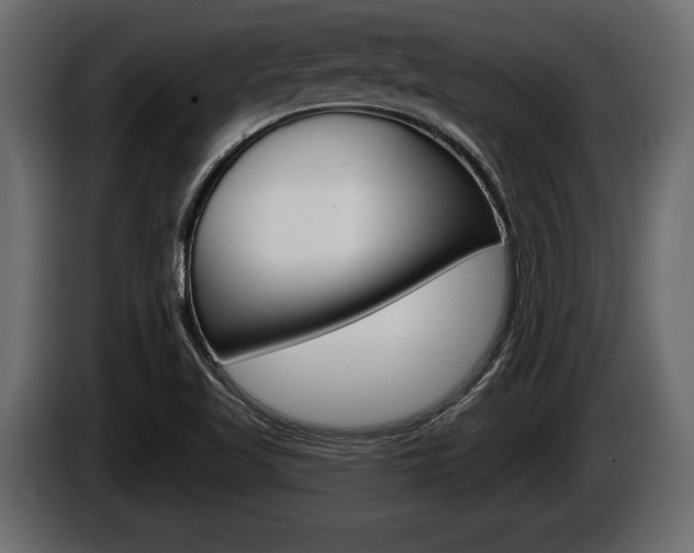 X0000086001509200703230838