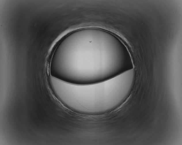 X0000086001510200703230838