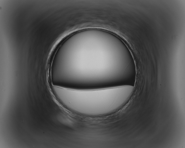 X0000086001511200703230838