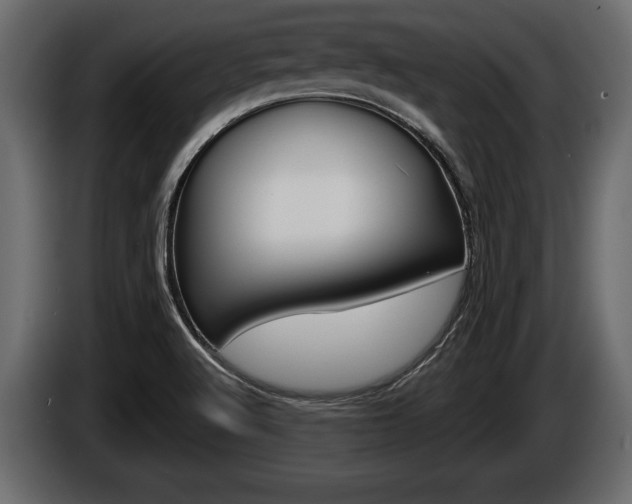X0000086001512200703230838