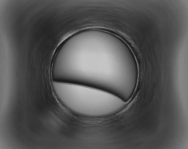 X0000086001513200703230838