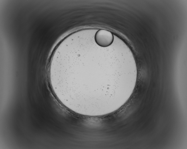 X0000086001514200703230838