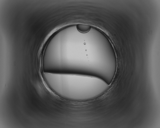 X0000086001515200703230838