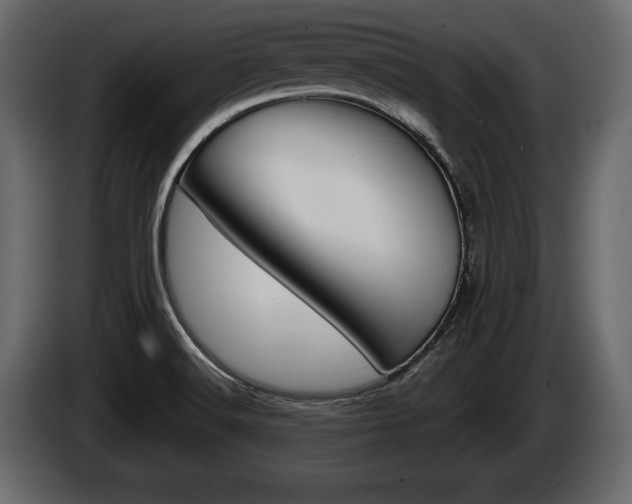 X0000086001516200703230838