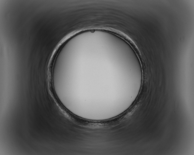 X0000086001517200703230838