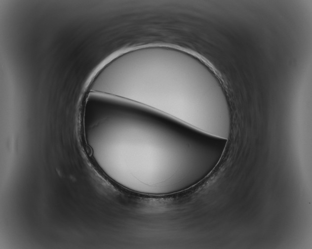 X0000086001518200703230838