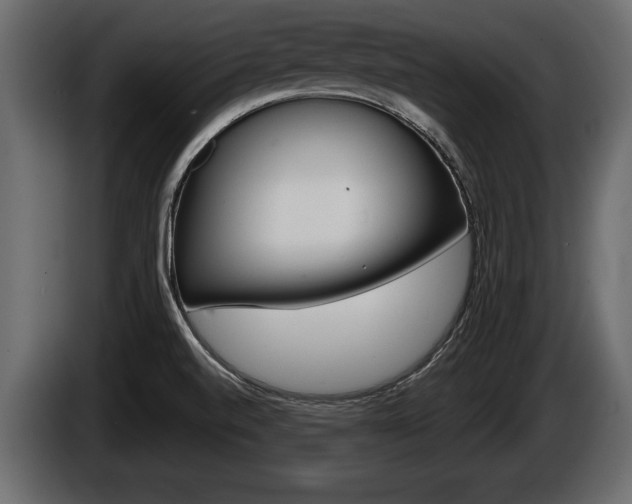 X0000086001520200703230838