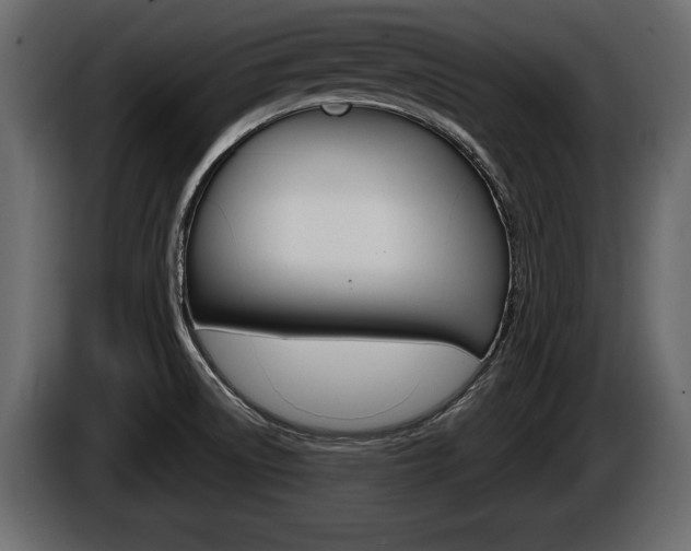 X0000086001522200703230838