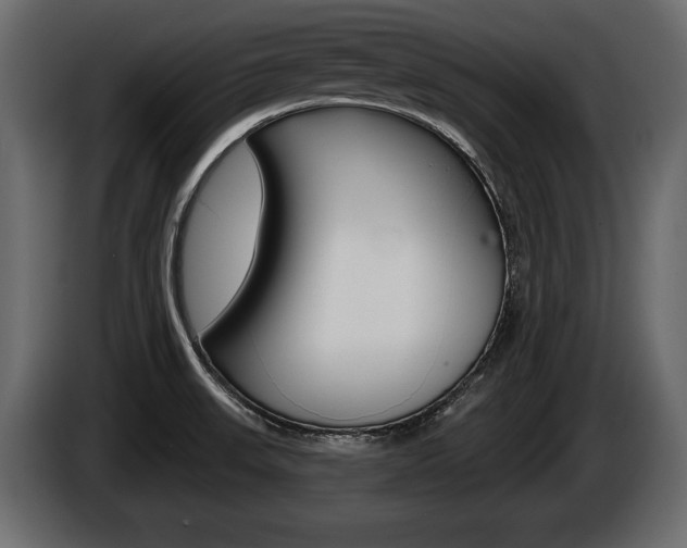 X0000086001523200703230838