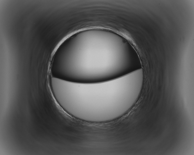X0000086001524200703230838