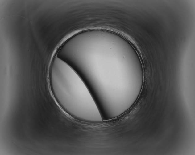 X0000086001525200703230838