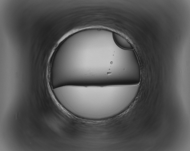 X0000086001526200703230838