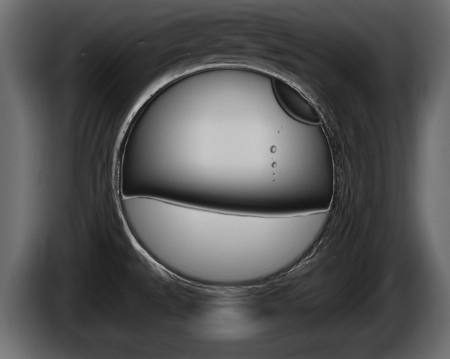 X0000086001527200703230838