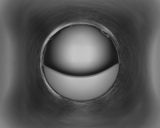 X0000086001528200703230838