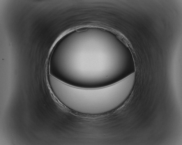 X0000086001530200703230838