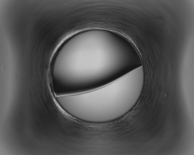 X0000086001531200703230838