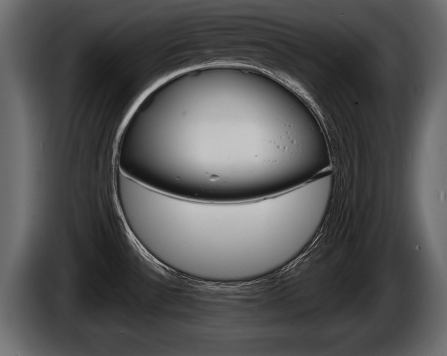 X0000086001532200703230838