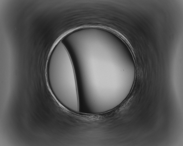 X0000086001533200703230838