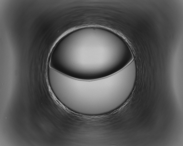 X0000086001534200703230838