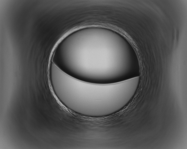X0000086001536200703230838