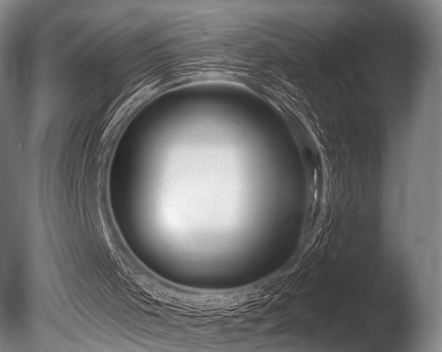 X0000086000001200703231157