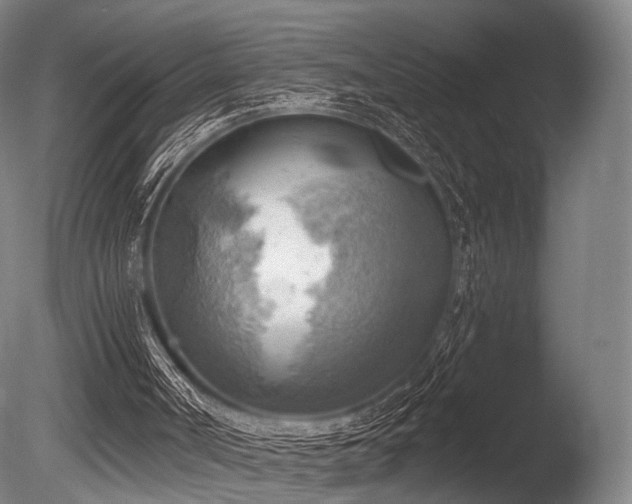 X0000086000002200703231157