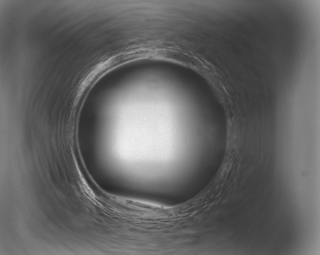 X0000086000003200703231157