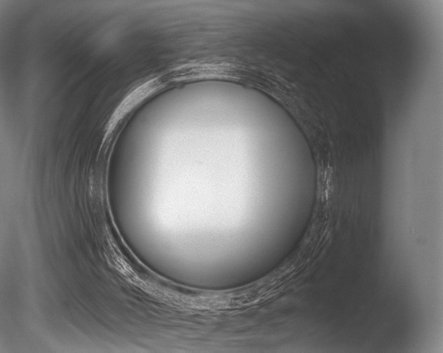 X0000086000004200703231157