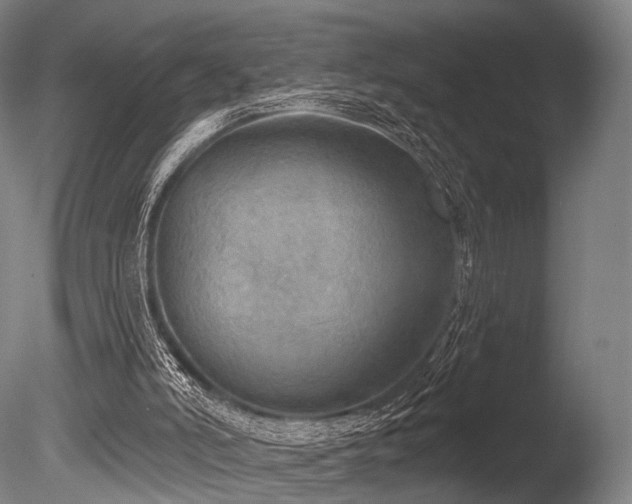 X0000086000006200703231157