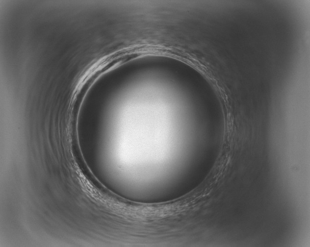 X0000086000007200703231157