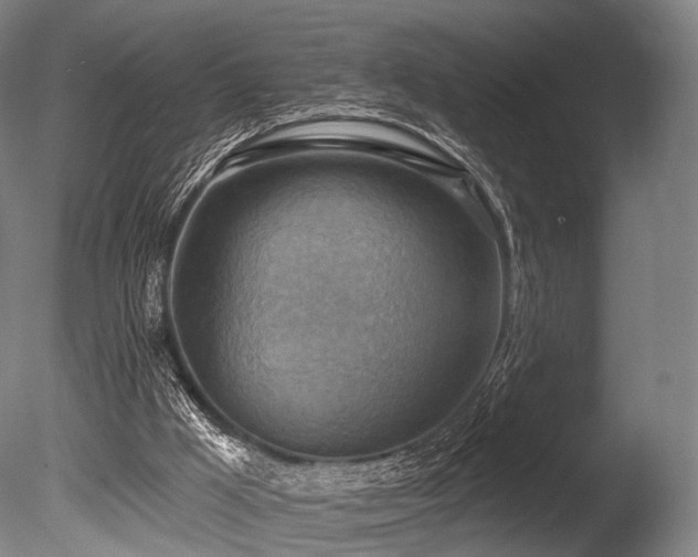 X0000086000009200703231157