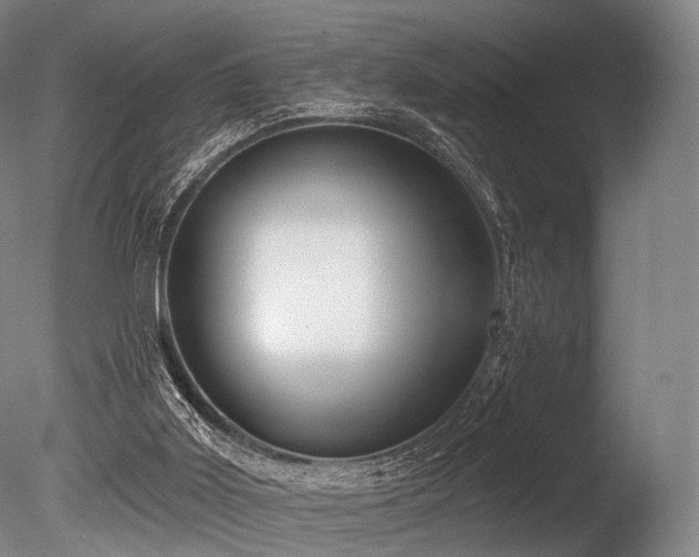 X0000086000011200703231157