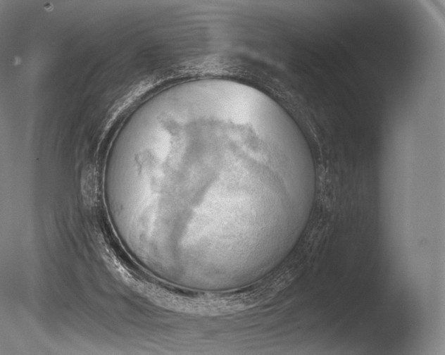 X0000086000012200703231157