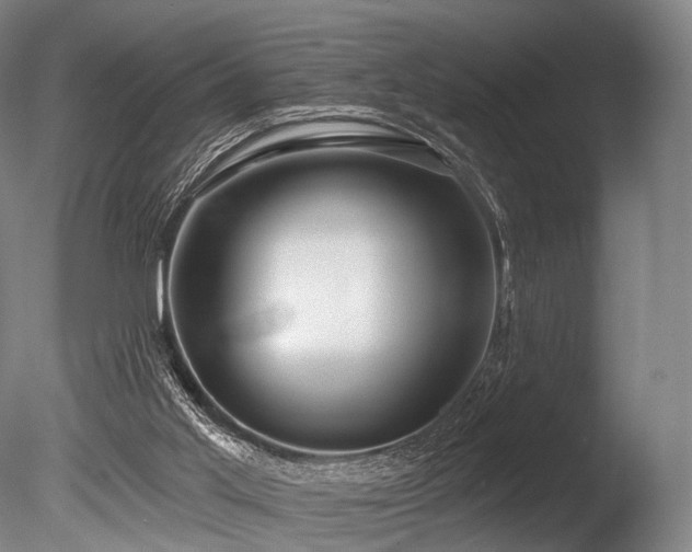 X0000086000013200703231157