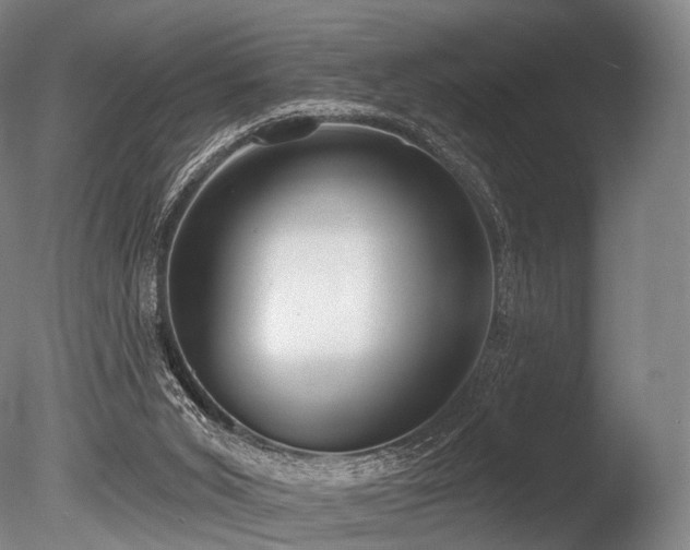 X0000086000015200703231157