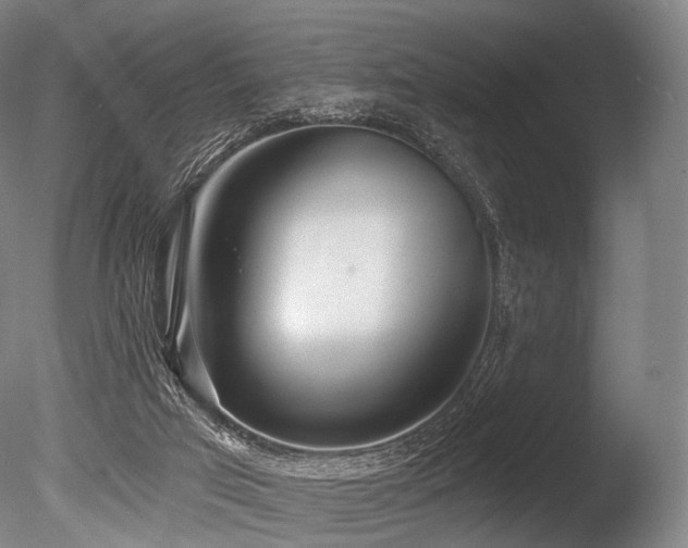 X0000086000017200703231157