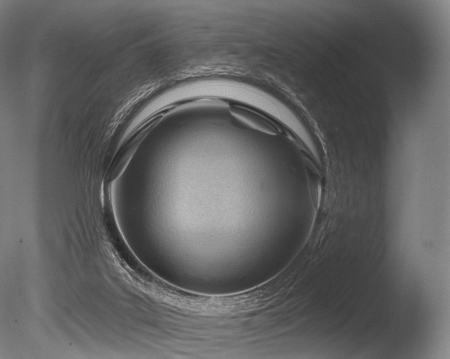 X0000086000019200703231157