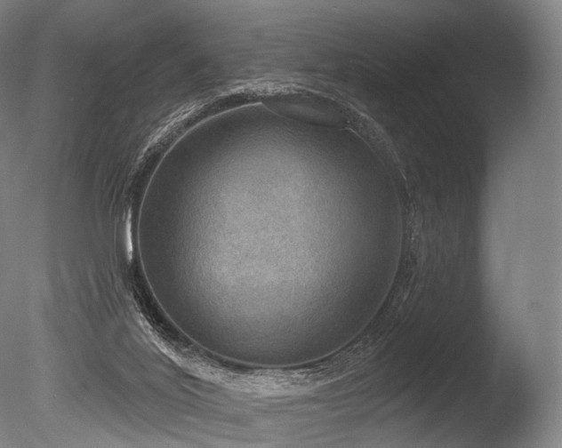 X0000086000020200703231157