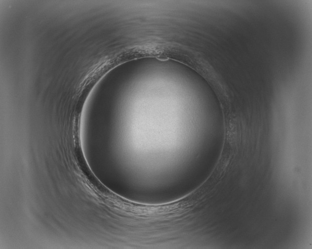 X0000086000023200703231157