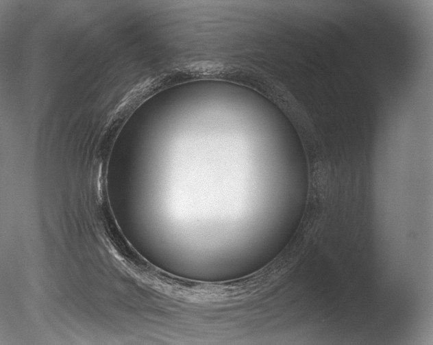 X0000086000024200703231157