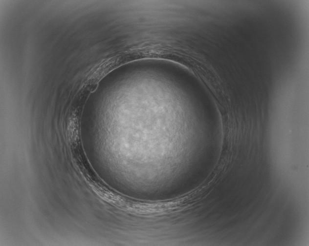 X0000086000029200703231157